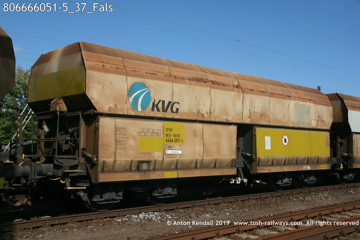 806666051-5_37_Fals.JPG